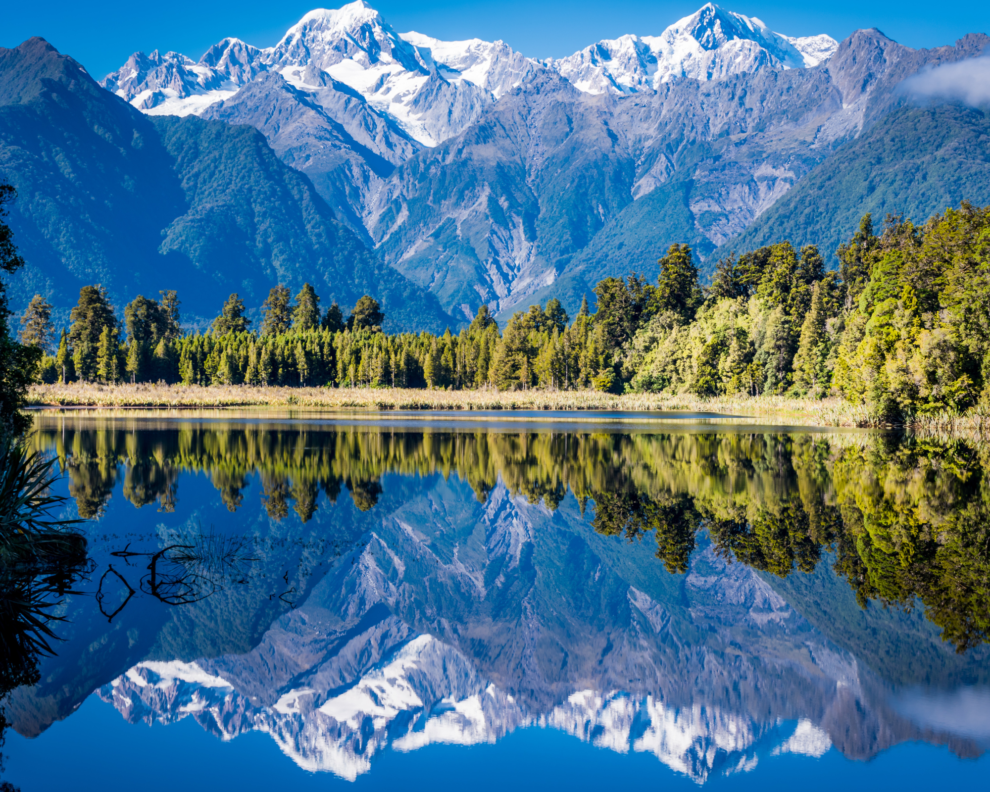 Fiordland