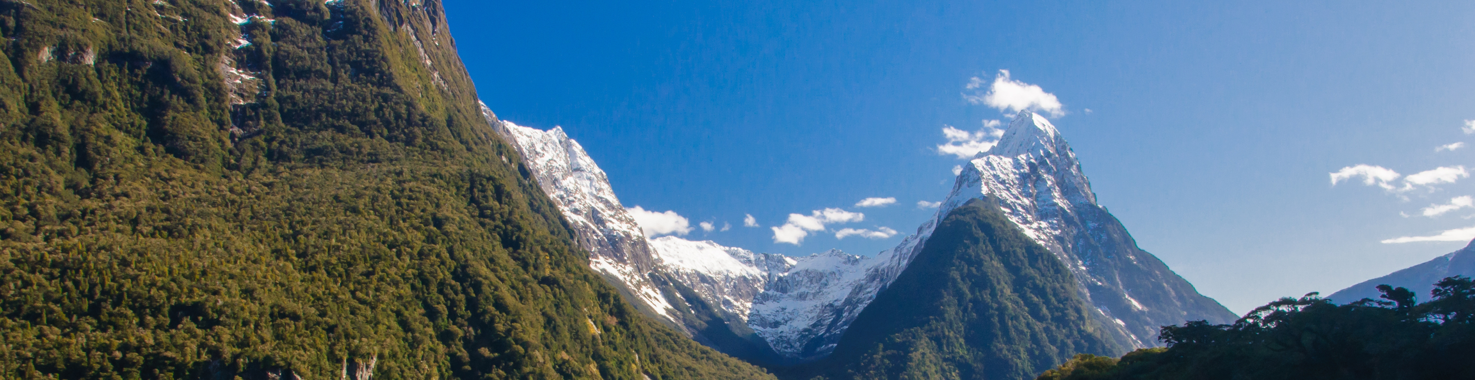 Nueva Zelanda