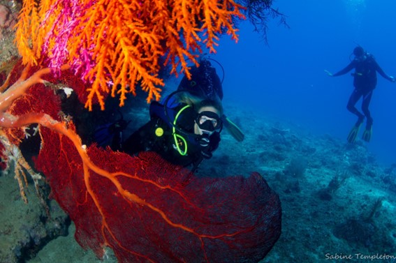 1- Taveuni e Islas del Norte