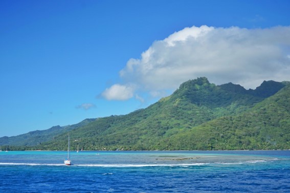 4- Moorea, refréscate junto a las ballenas