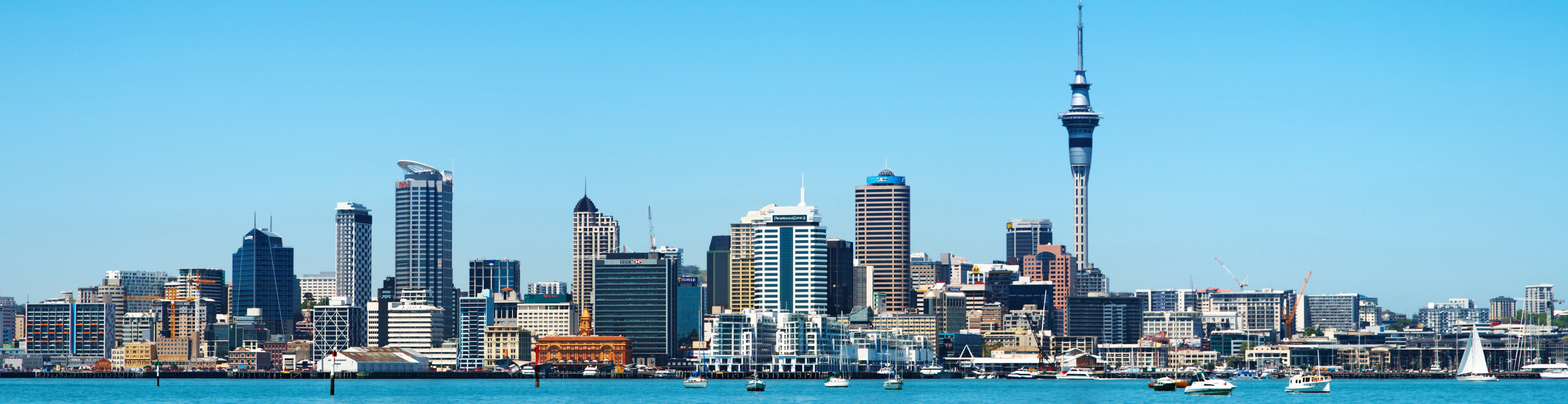 NZ Indispensable Recomendado