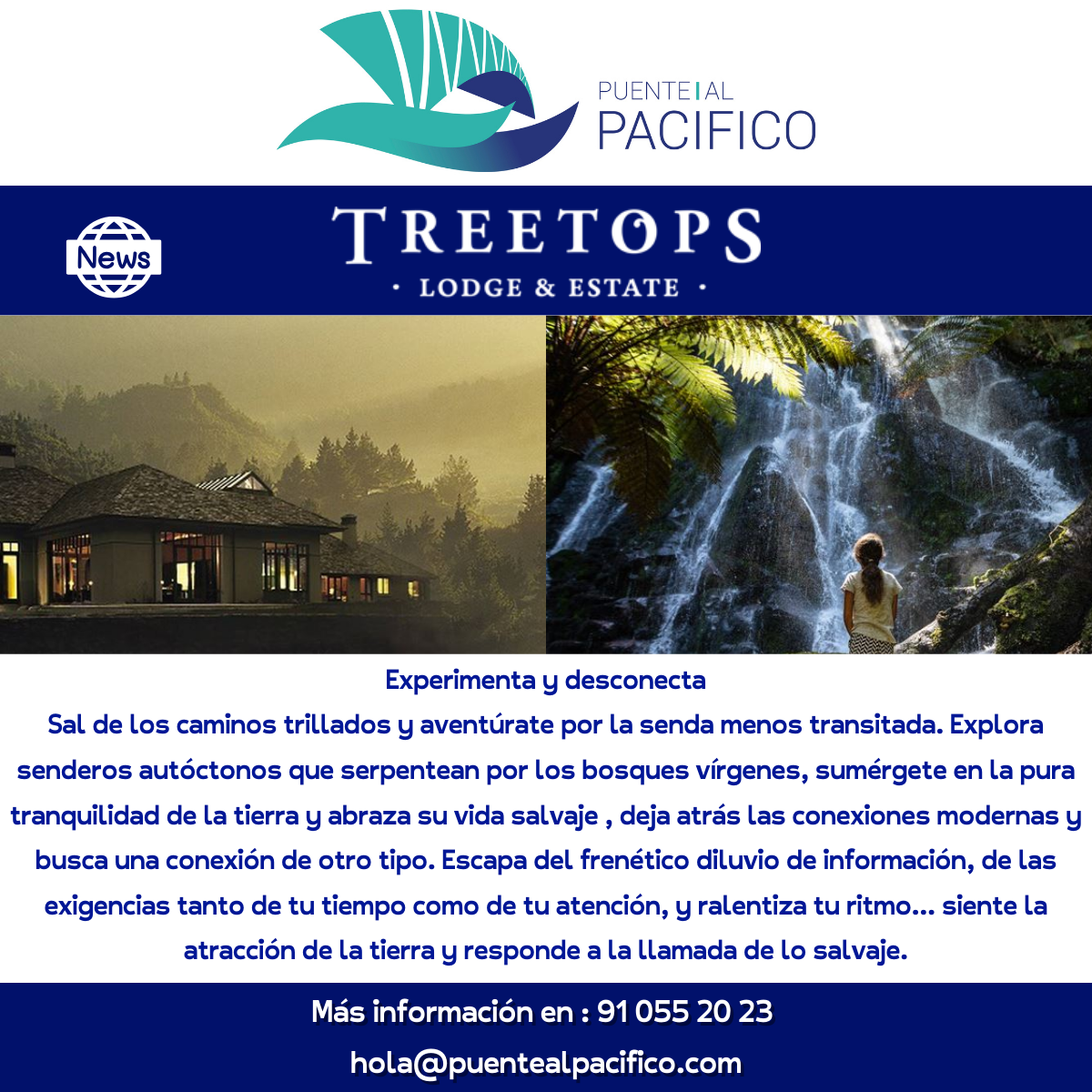 Treetops x Puente al Pacífico 