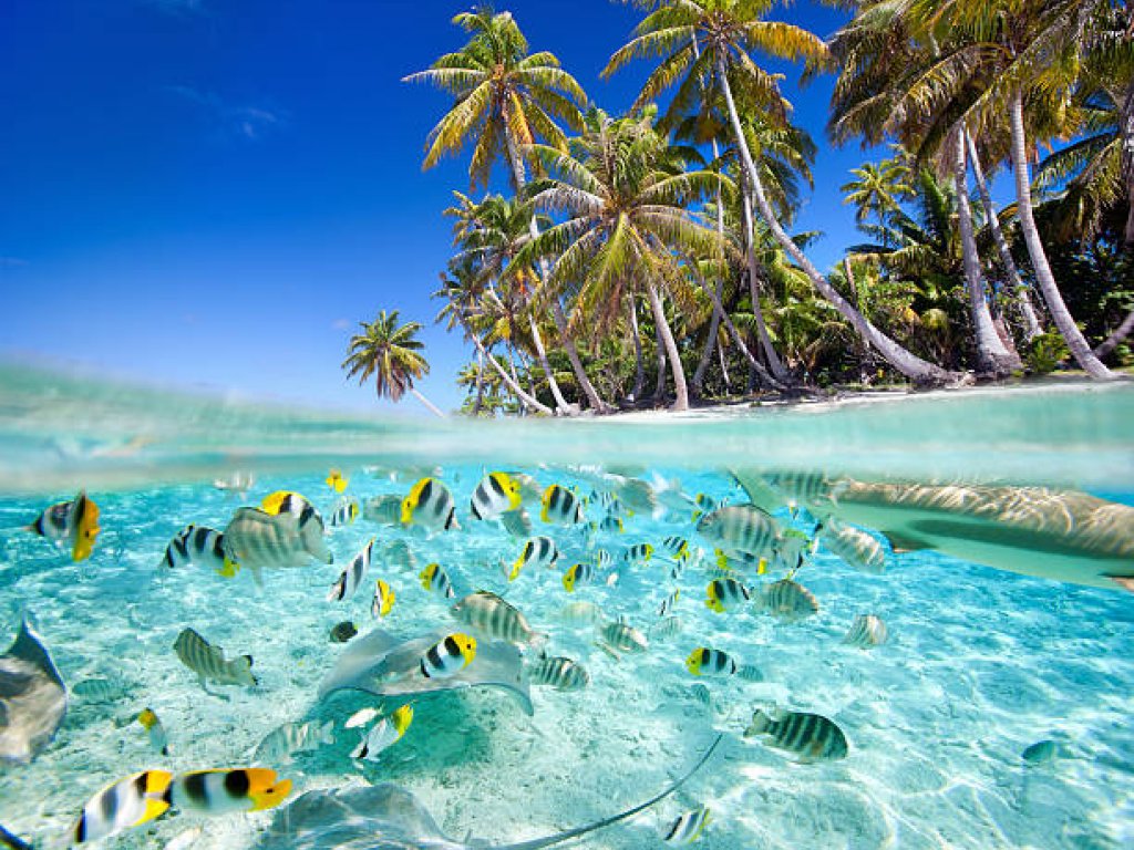 Papeete - Moorea - Bora Bora - Rangiroa - Tikehau - 16 días/15 noches - Polinesia