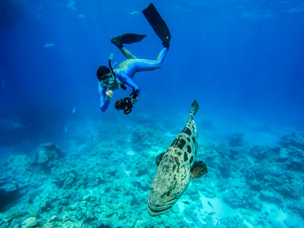 LIZARD ISLAND - Free diving - Cairns - Australia