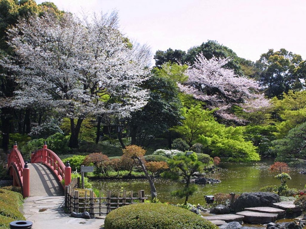Japón - Tokyo - New Otani Garden Tower - Jardin Japonés
