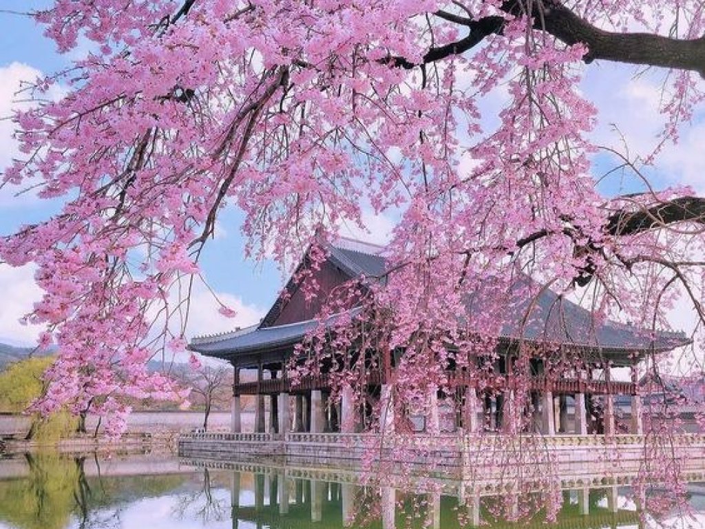 SEÚL -BUSAN - GYEONGJU