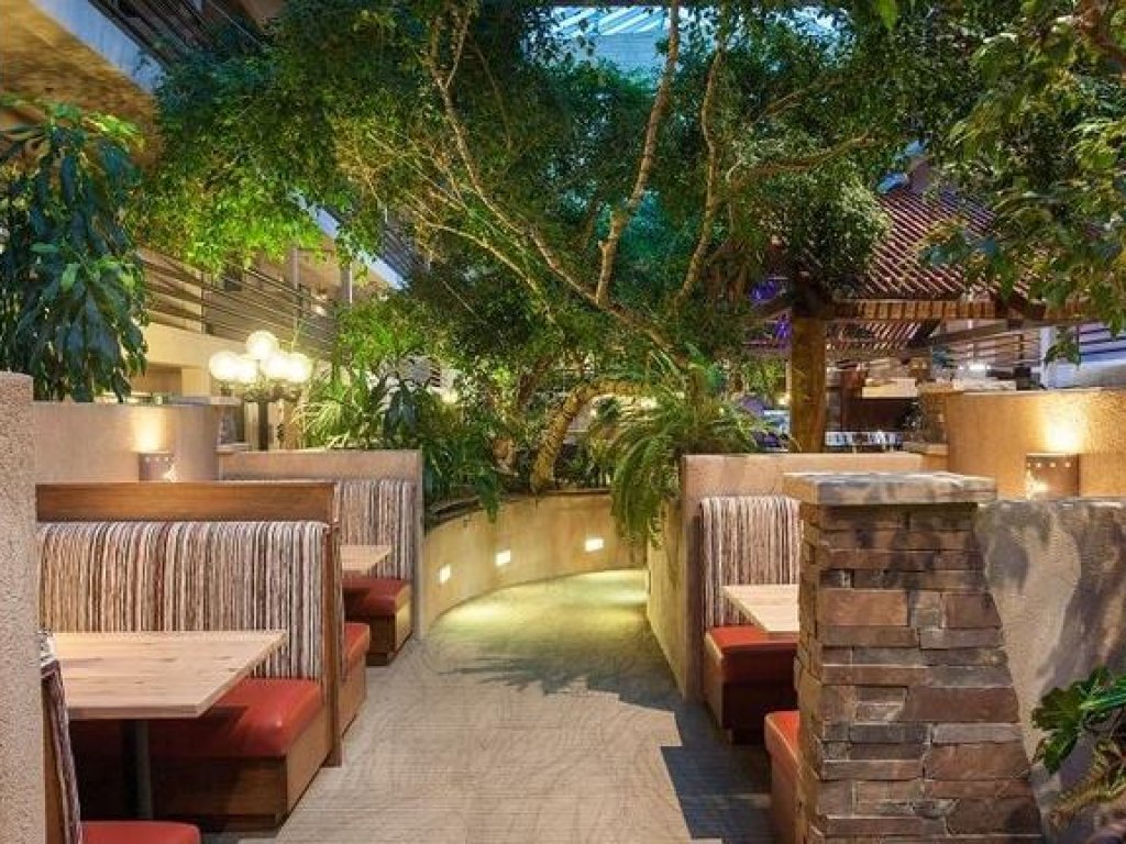 Salón / Terraza - Grand Canyon Plaza Hotel 