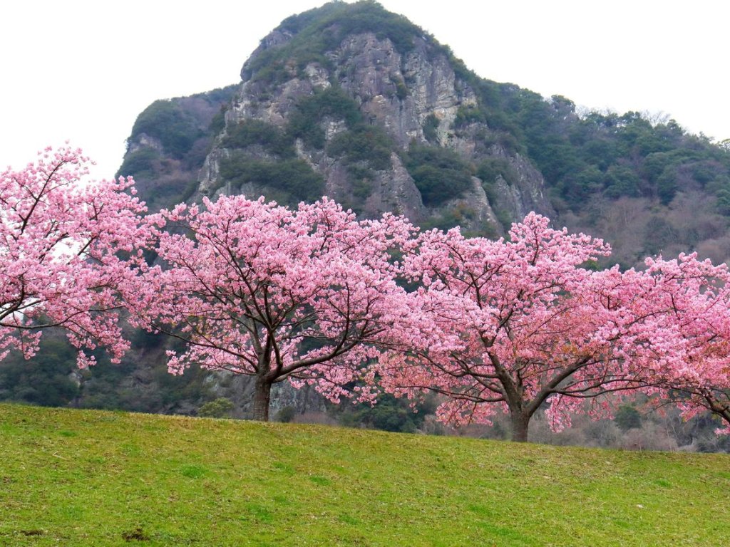 Imagen Japón