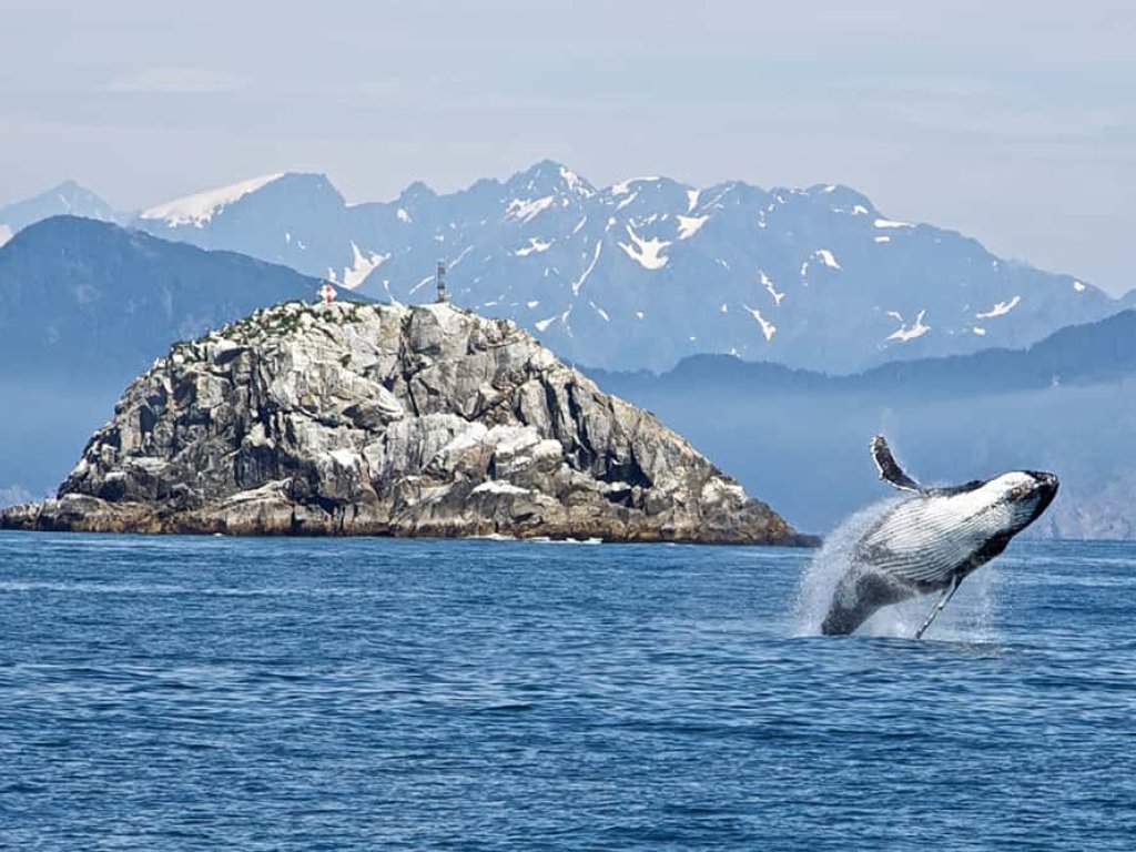 ALASKA