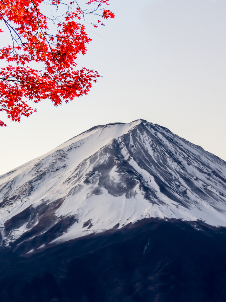 Japón
