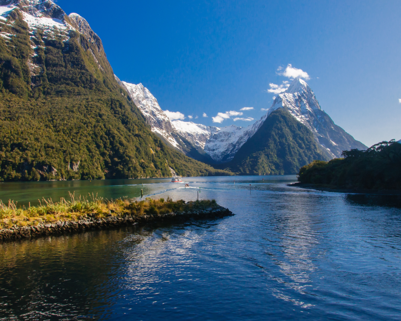 Nueva Zelanda Milford Sound